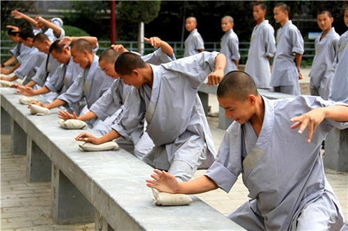 ¿Que es el Wushu y cuales su Significado?
